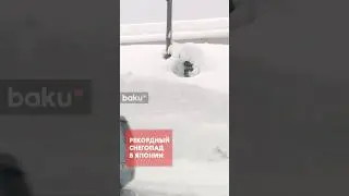 Сильные снегопады в Японии привели к десяткам жертв