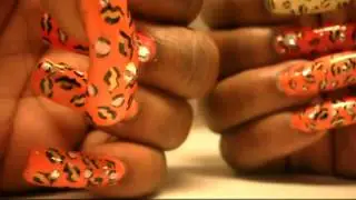 Summer Leopard Kiss thanks Robin Moses!
