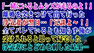 【離婚】「一緒にいるとムシズが走るのよ！」離婚を突きつけて出て行った浮気妻が翌日…「冗談よ～！」→全てバレているとも知らず俺が受け入れると思って帰宅した浮気妻にとどめを刺した結果…【シタ妻】