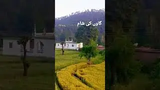 Samahni Valley Beautiful Village evening #kashmir #vlog #samahni