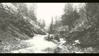 Scheinkraft - 