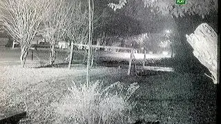 Doraville car break ins New Year 2019