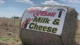 Local farmers facing dairy challenges