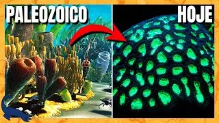 CORAIS: EVOLU&Ccedil;&Atilde;O e DIVERSIDADE