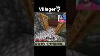 The Secret Life of Minecraft Villagers