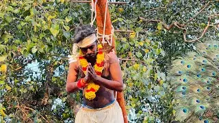 Parava kavadi 2023 paravoor koottekkunn ambalam