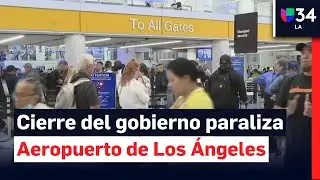 Cierre del gobierno causa caos en aeropuerto de Los Ángeles: retrasos y escasez de personal