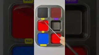 Create 3 colors from 3 colors: Black + Red + Phthalo Blue #asmr #mix #colors #mixing #colormixing