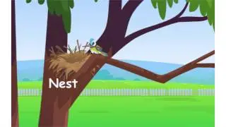 Animal homes for kids - EVS Class 1 - CBSE | ICSE
