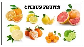 Citrus fruits | list of the Citrus fruits