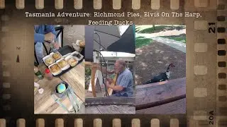Tasmania Adventure: Elvis on a Harp, Delicious Pies, and Country Charm
