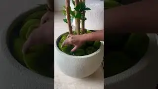 The Perfect Plant Hack To Elevate Your Home Decor | Mason Home #HomeDecor