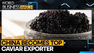 China takes the crown as world's leading caviar exporter | World Business Watch
