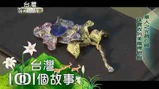 華人之心趙心綺 珠寶收列美國博物館 第66集 part2【台灣1001個故事】2010年