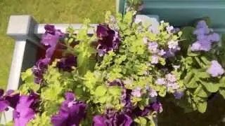 Shed ideas: how to pick the perfect colours