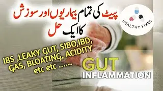 Gut Inflammations IBS, LEAKY GUT, SIBO, HPYLORI ONE Solution | @healthyfixes6357