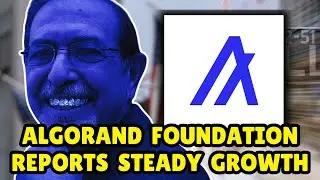 Algorand Foundation Q3 Transparency Report: Full Breakdown & Highlights