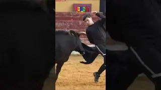 Capea cumplea&ntilde;os Raff - La Vall d'Uixo (Castellon) Toros Fran Gomez Bous Al Carrer