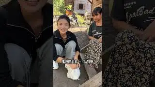 善良貨主 變賣翡翠換大象自由#翡翠 #緬甸翡翠 #翡翠手鐲 #珠寶首飾