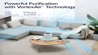 The Best Air Purifier Of 2023: Amazon's Top Picks For Large Rooms