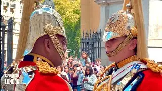THE KING&rsquo;S LIFE GUARD ARE BACK! 💂 | Horse Guards, Royal guard, Kings Guard, Horse, London, 2025