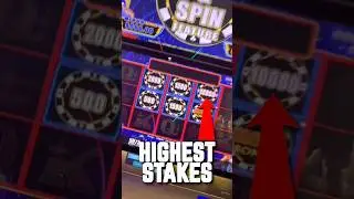 MAX BET $50 spin on High Stakes, come'on LETS F,N GO!