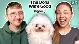 The Dog Taking Over The Internet!