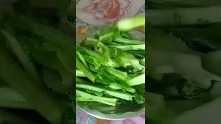 phool gobhi ke danthal ki sabji#shorts #shortvideo #song  #trending #youtubeshorts #shortsfeed