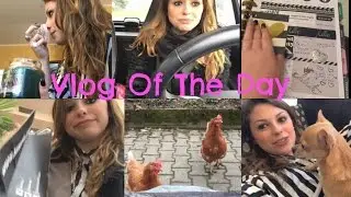 VlogOfTheDay - VOGLIO MA NON VOGLIO