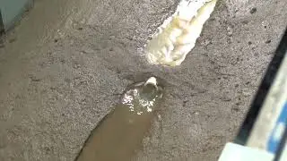 Stream Behavior: Upstream and Downstream Effects (HD)
