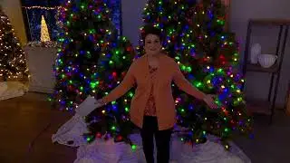 Martha Stewart Long Needle Pine Tree on QVC