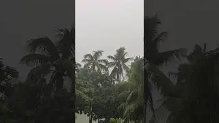 #monsoon #rain #storm #tide #coralwind #Lotsofswings #raindrops #roar #cloud #viral #life #nature