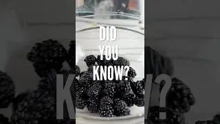 Health Benefits of Blackberries