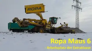 NEU! Ropa Maus 6 im Einsatz | Zuckerrüben verladen im Gäuboden | GäubodenAgrar | LMG Gäuboden
