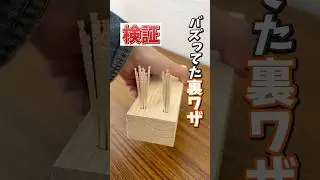 DIY必見！海外で鬼バズった&ldquo;つまようじ木ダボは使えるのか検証 #shorts