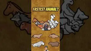 The Fastest Animal in RimWorld (It&rsquo;s Not What You Think)