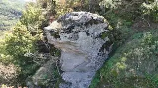 Stonedog