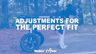 How to Adjust Walkin' Wheels Rear Dog Wheelchair - Med & Large