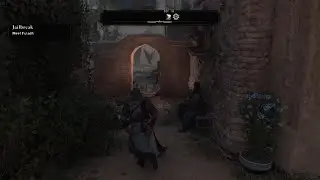 ASSASSIN CREED CHASE CHICKEN OR PET EVIL CAT