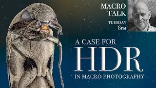 HDR - in Macro? - Macro Talk #158 -  AWPhotography 9/9/25