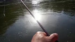 buena pesca de machaca