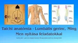 Taichi/Taiji anat&oacute;mia - lumb&aacute;lis gerinc, Ming Men feladatok