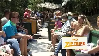 Zip-туры: Южный залив