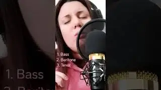 #talkingtothemoon #talkingtothemoonchallenge #voiceharmony #loopify