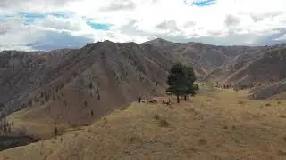 Devils Hole