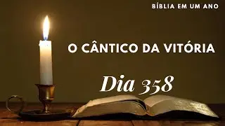 Bíblia em um ano - dia 358