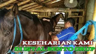 KESEHARIAN KAMI DI ISTAL KUDA RENGGONG BENTO GRUP ‼️‼️