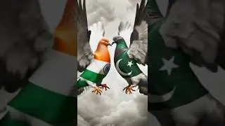 #india #pakistan #birds 🕊️🕊️