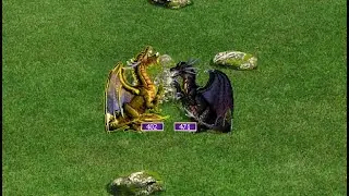 Heroes of Might and Magic III | BLACK DRAGONS VS GOLD DRAGONS