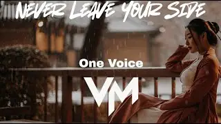 Never Leave Your Side - One Voice (Male Cover VueMix)